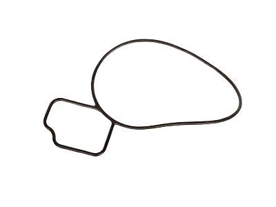 Oldsmobile Water Pump Gasket - 24439799