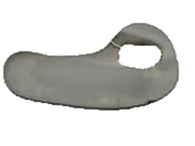 GM 15763017 Bezel Assembly, Rear Side Door Inside Handle *Medium Duty Dark Pewter