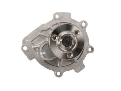 GM 25195119 Water Pump Assembly