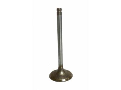 Chevrolet Beretta Intake Valve - 10166341