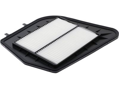 2005 Cadillac CTS Air Filter - 25798270
