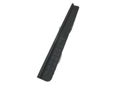 GM 10247013 Sealing Strip, Front Side Door Bottom Auxiliary