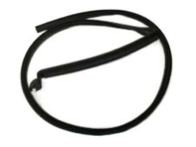 GM 15871403 Weatherstrip Assembly, M/Gate Window *Black