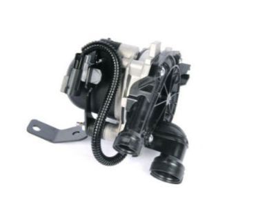 GM Secondary Air Injection Pump - 55569076