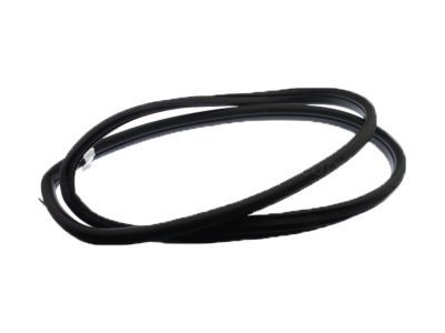 Chevrolet SS Weather Strip - 92253114