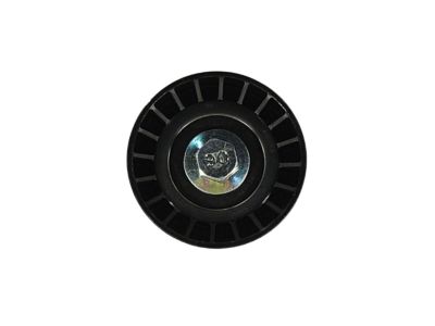 GM 25191263 Pulley,Belt Idler