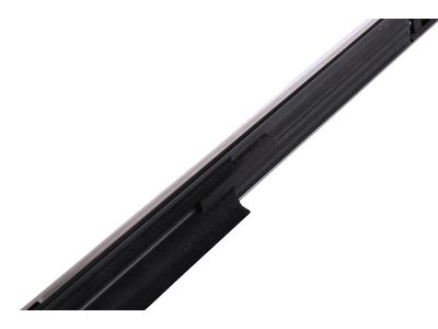Buick Allure Door Moldings - 20879213