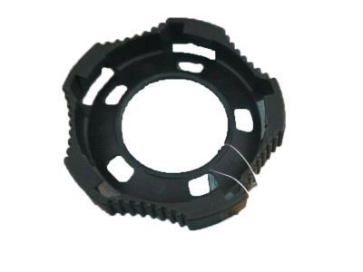 GM 16505888 Nut, Retainer