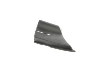 GM 15946003 Panel, Air Inlet Grille (End Cover) *Black