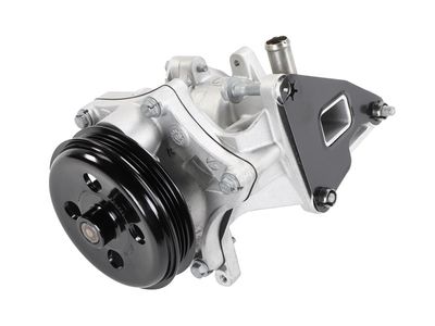 Chevrolet Volt Water Pump - 12694089