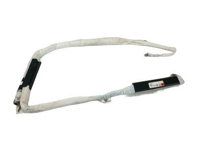 42351996 GM Front & Rear Row Roof Rail Airbag Assembly Product Photo 1 of 1