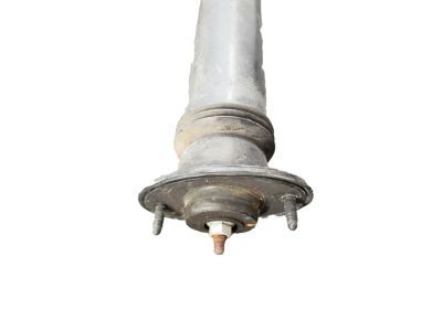 GM 25770612 Rear Shock Absorber Assembly (W/ Upper Mount)