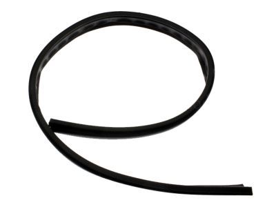 GM 15012833 Weatherstrip,Front Side Door Roof Drip