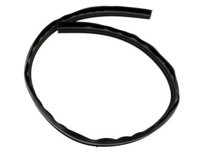 GM 15012833 Weatherstrip,Front Side Door Roof Drip