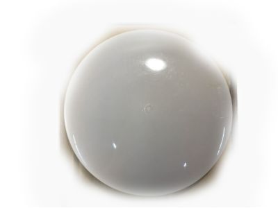 GM 10160922 Lens, Dome Lamp