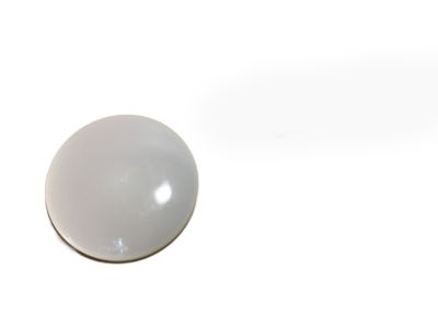 GM 10160922 Lens, Dome Lamp