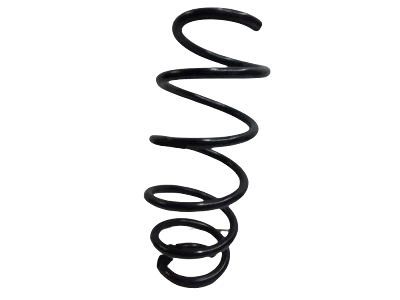 GM 95133793 Front Spring