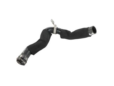 GM 26397987 Radiator Outlet Hose 26397987 GM Radiator Outlet Hose Product Photo 1 of 1