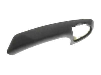 GM 15236110 Handle Assembly, Front Side Door Pull *Ebony
