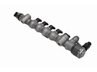 GM 55510921 Rail Assembly, High Press Dsl F/Injn GM 55510921 Rail Assembly, High Press Dsl F/Injn