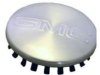 GM 9595384 Hub Cap Assembly GM 9595384 Hub Cap Assembly