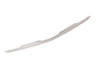 GM 84792993 Molding, Front Bpr Fascia *Bright Chromm GM 84792993 Molding, Front Bpr Fascia *Bright Chromm