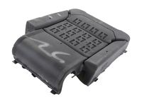 GM 84933119 Rear Seat Back Pad Assembly GM 84933119 Rear Seat Back Pad Assembly
