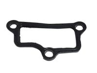 GM 10211661 Gasket,Center Intake Manifold