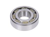 GM 96062825 Wheel Bearing