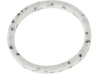 GM 24225511 Ring, Turbine Shaft Fluid Seal