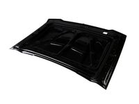 GM 23392664 Hood Assembly