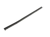 GM 15138732 Weatherstrip, Rear Side Door Lower GM 15138732 Weatherstrip, Rear Side Door Lower