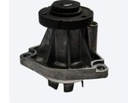 Saturn LS Water Pump - 55352002 Water Pump