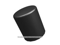 GM 22990973 Cap,Cng High Pressure Regulator Pressure Relief GM 22990973 Cap,Cng High Pressure Regulator Pressure Relief