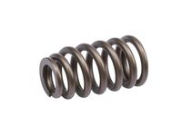 GM 12647873 Valve Spring GM 12647873 Valve Spring