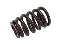GM 55488231 Spring, Vlv GM 55488231 Spring, Vlv