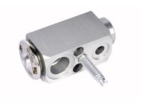 GM 22816195 Valve Assembly, A/C Evaporator Thermal Expansion GM 22816195 Valve Assembly, A/C Evaporator Thermal Expansion