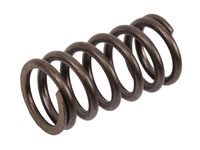 GM 55577562 Valve Spring GM 55577562 Valve Spring