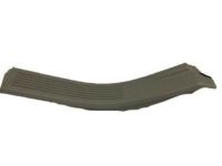 GM 10358858 Rear Side Door Sill Trim Plate