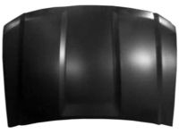 GM 84348415 Hood Assembly, .