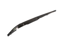 GM 23204904 Front Side Door Auxiliary Weatherstrip Assembly