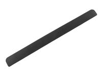 GM 88944413 Pad,Rocker Panel Front Molding
