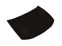 GM 12369173 Hood Asm (W/Hinges)