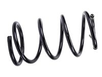 GM 22132938 Front Springs