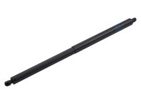 GM 84459212 Liftgate Strut Assembly