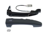 GMC Acadia Door Handle - 13521820 Handle Kit, Front Side Door Outside