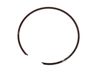 GM 24273902 Ring, Input Carrier Fluid Seal