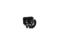 GM 25760081 Lamp,Courtesy