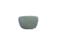 GM 22697857 Lens, Reading Lamp