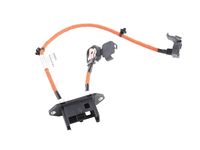 GM 24287296 Cable Assembly, High Vltg Battery Disconnect GM 24287296 Cable Assembly, High Vltg Battery Disconnect